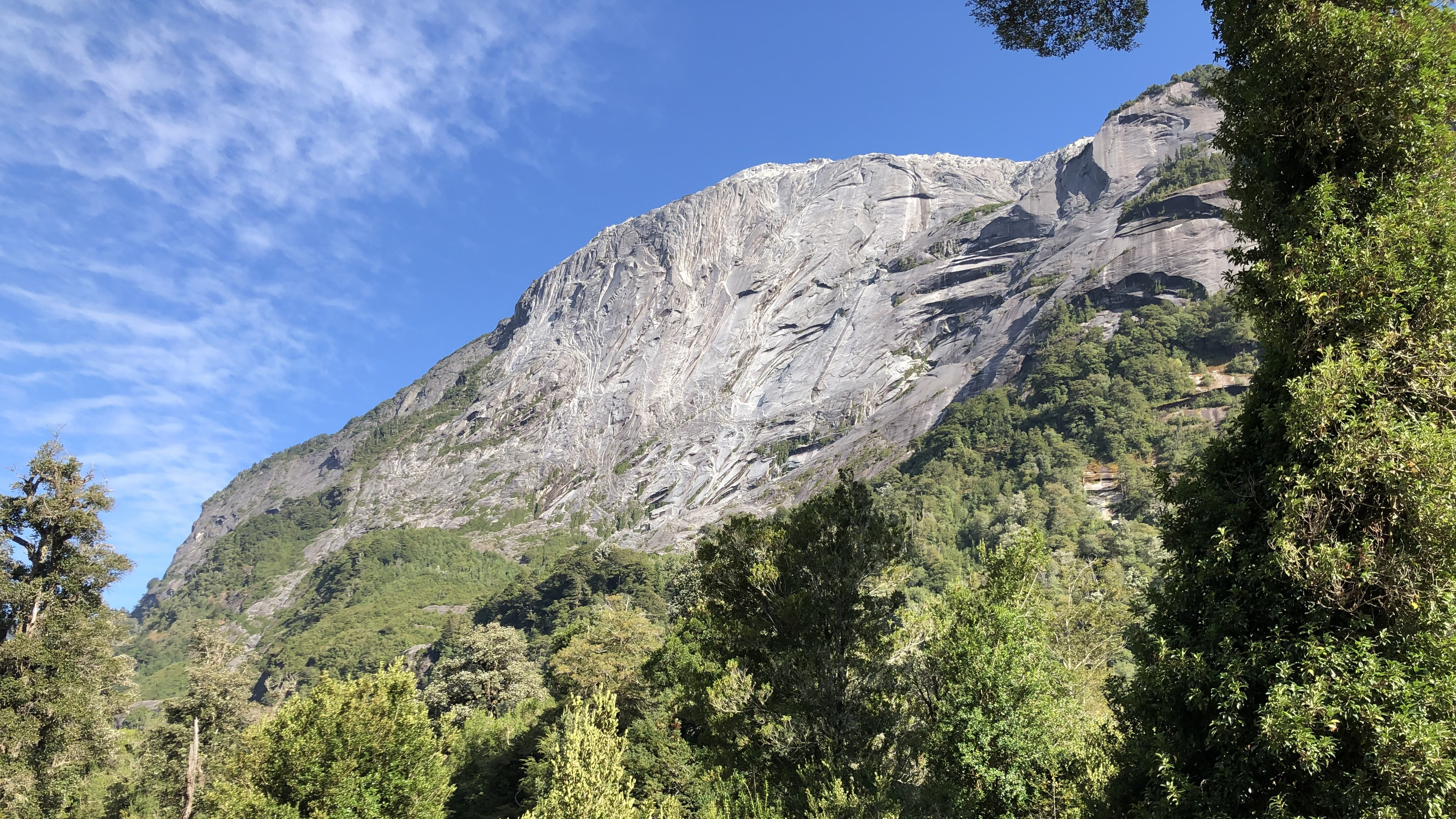 A sheer granite dome rising above temperate rainforest.