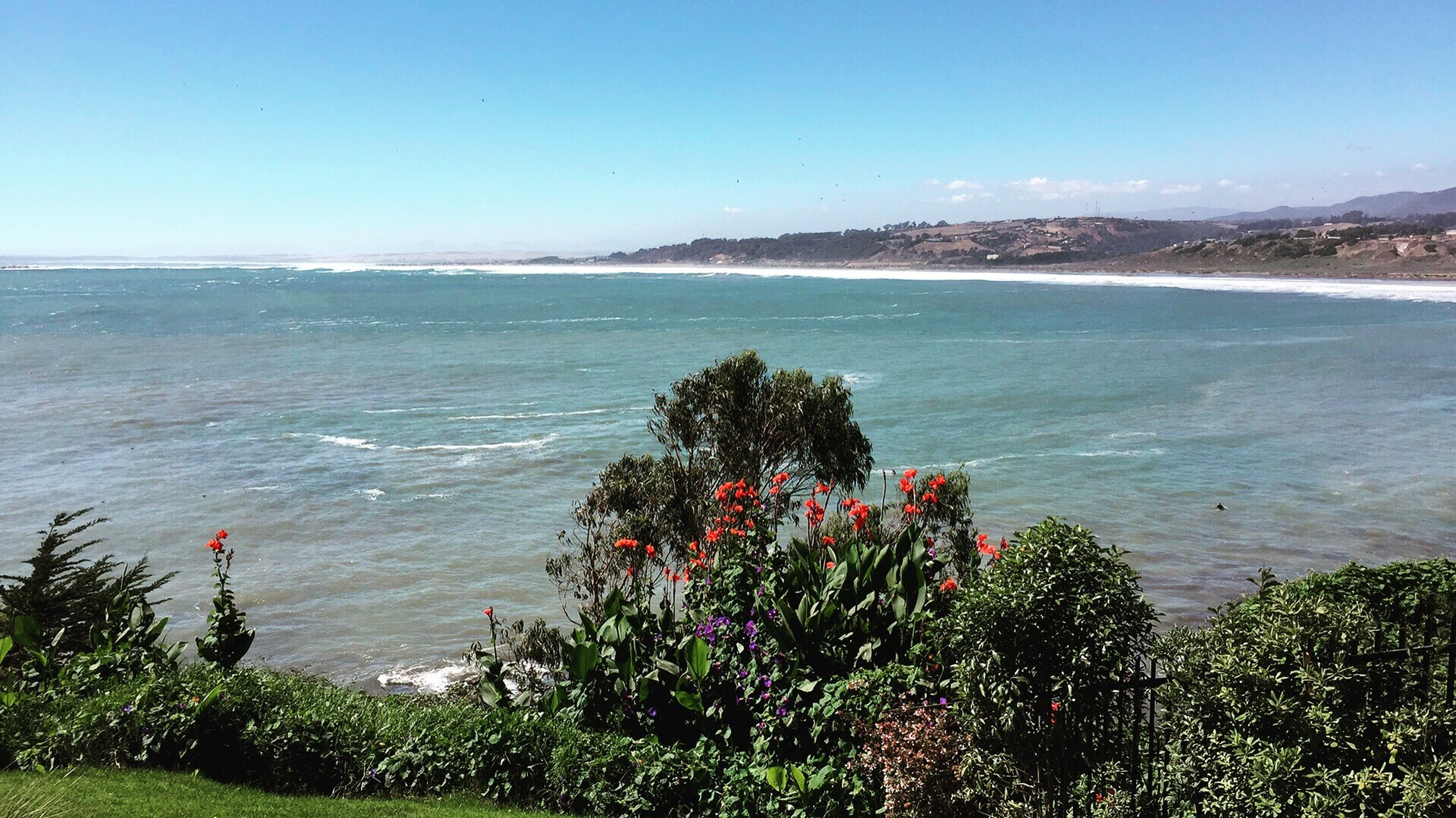 A flowering garden overlooking a wide turquoise bay and sandy point on the central coast.